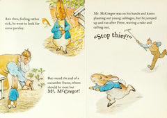 The Tale Of Peter Book