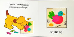 Spot Looks at Shapes