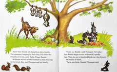 Walt Disney's Bambi (A Treasure cove Story)