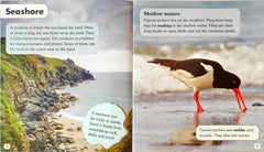 Oxford Explore Combo (3 Books)