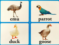 Farm Animals & Pets (With Large Font)