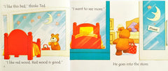 Usborne Phonics Reader Combo Set 14 (3 Books)