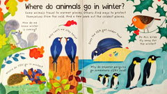 Usborne Why do Animals go In Winter? (Lift the Flap)