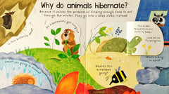 Usborne Why do Animals go In Winter? (Lift the Flap)