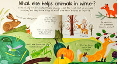 Usborne Why do Animals go In Winter? (Lift the Flap)