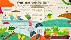 Usborne Why Am I Afraid? (Lift the Flap)
