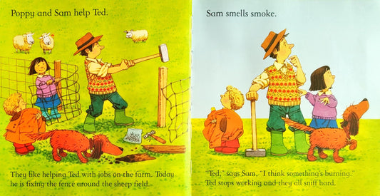 Usborne Farmyard Tales Combo 14 (5 Books)