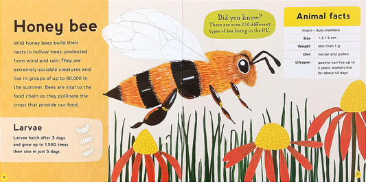 My first book of woodland animals