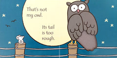That's not my Owl