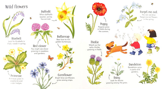 Poppy and Sam's Nature Spotting Book