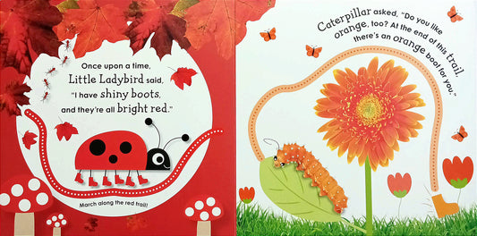 Colours with a Ladybird