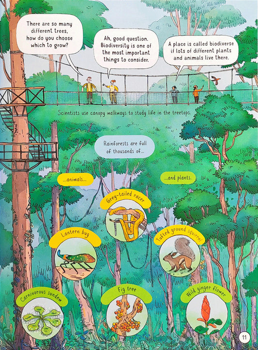 Usborne 24 hours in the Jungle