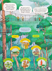 Usborne 24 hours in the Jungle