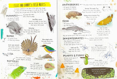 Usborne 24 hours in the Jungle