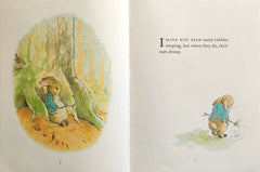 The Further tale of Peter Rabbit