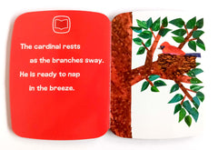Feathery Friends (Eric Carle)