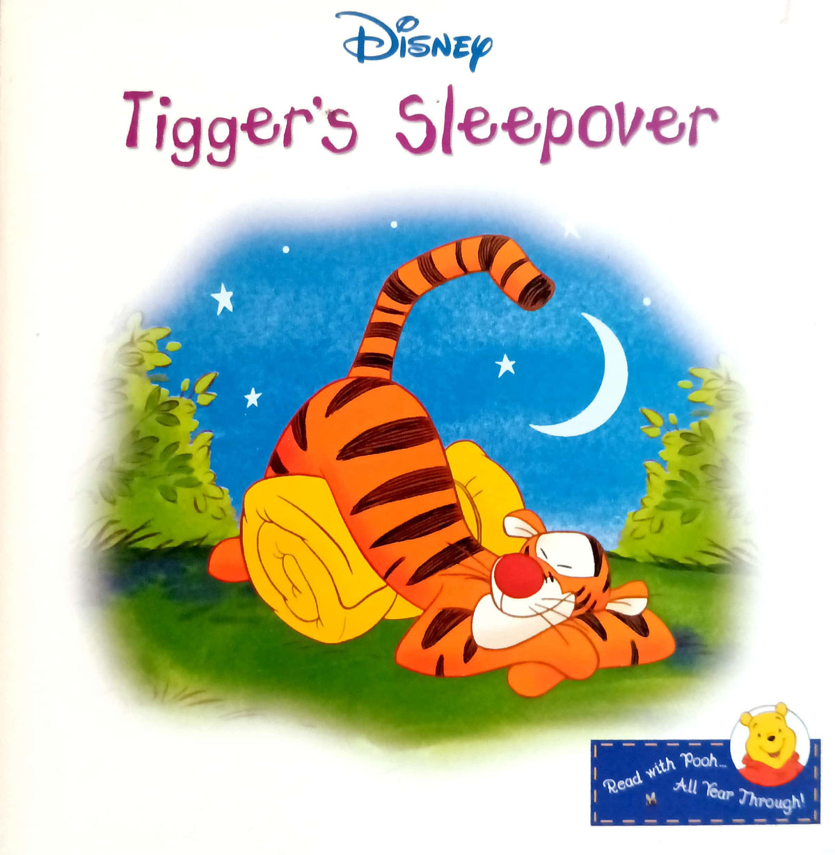 Disney Tigger's Sleepover